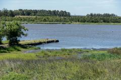 Sector del Frente Amplio pidió que se revise decreto que limita investigaciones sobre el agua